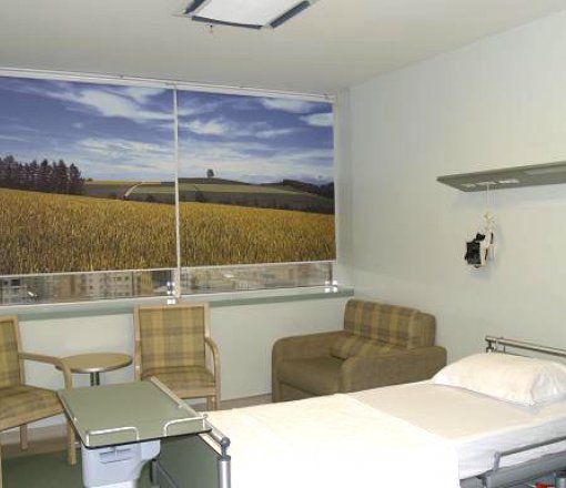 Hastanelerinizi ayrıcalıklı bir dizaynda dekore etmek için tercih edilen görsellerle hasta rehabilitesini düşünerek üretilen digital baskı stor perdeler.<br />
Ayrıca yoğun bakım ayırım perdeleri,teleskopik bağlantı rayları ile dikey perde,jaluzi ve screen perde uygulamaları da yapılmaktadır. 